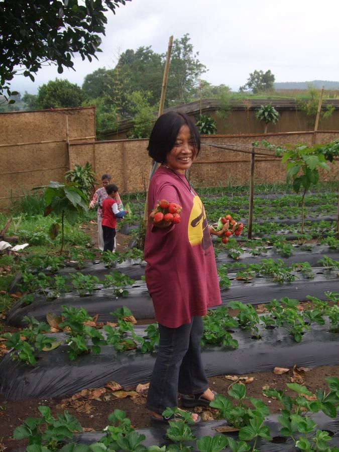 Strawberry Hill Hotel & Restaurant Bedugul  Exteriör bild