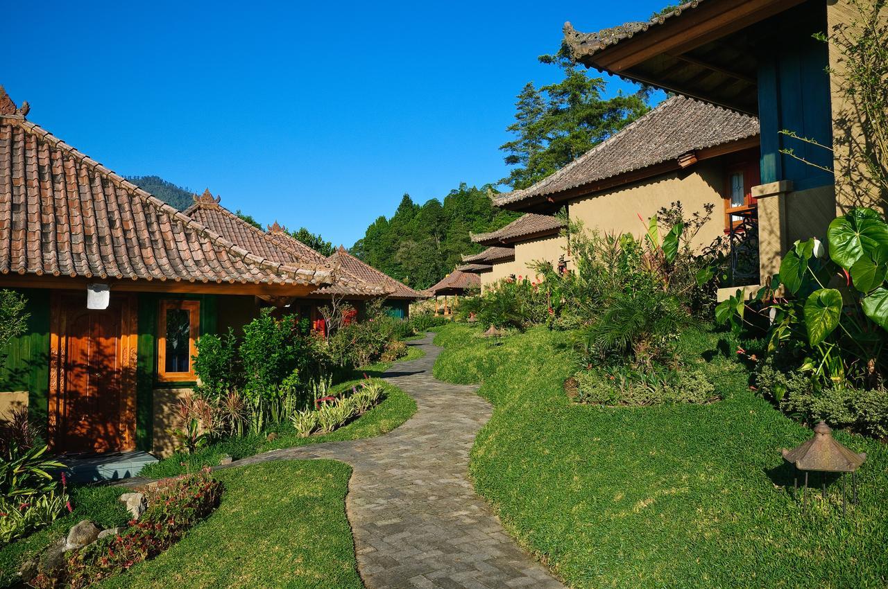 Strawberry Hill Hotel & Restaurant Bedugul  Exteriör bild